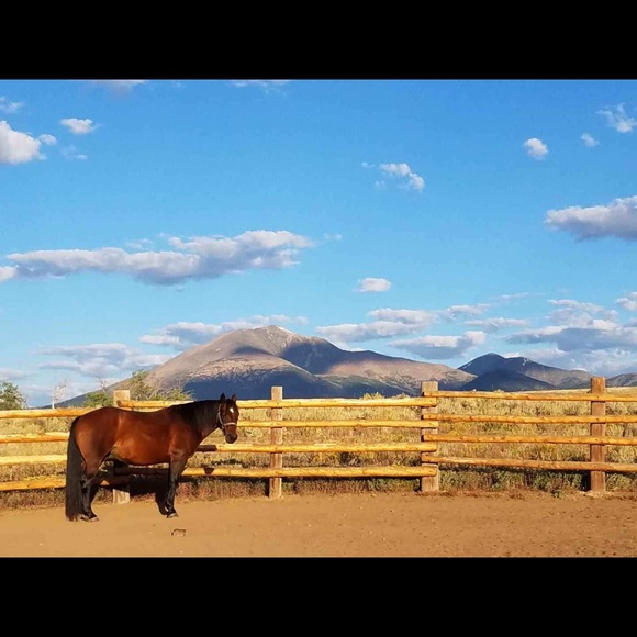 Meet your Posher, Katie Jones. - Picture 7 of 16